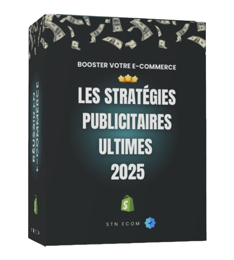 Formation Stratégie Publicitaire 2025